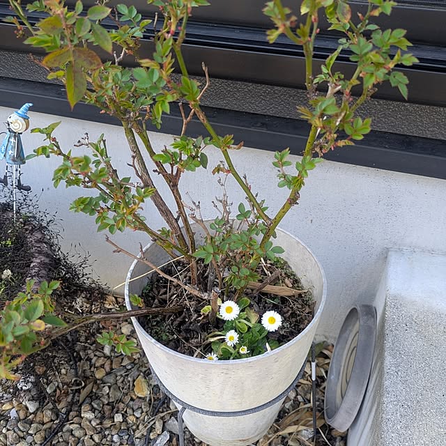 quanshanxia037さんの部屋