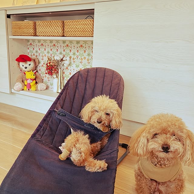 yumi.grandsaisonさんの実例写真