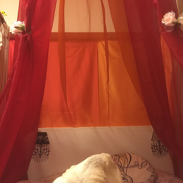 sakuranさんの実例写真