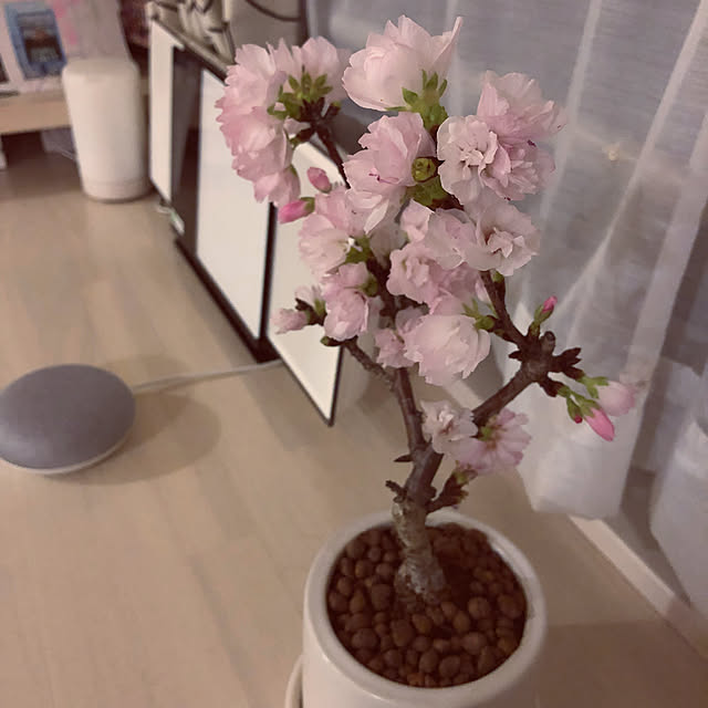 sun_sun_sunさんの実例写真