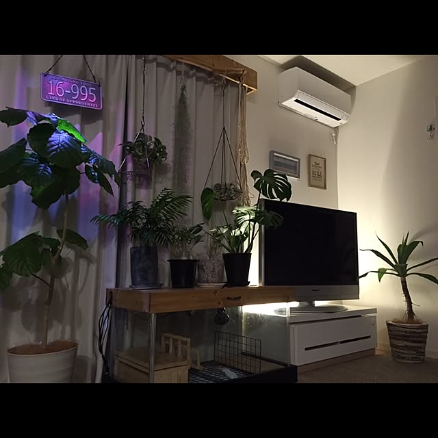 sig0320さんの実例写真