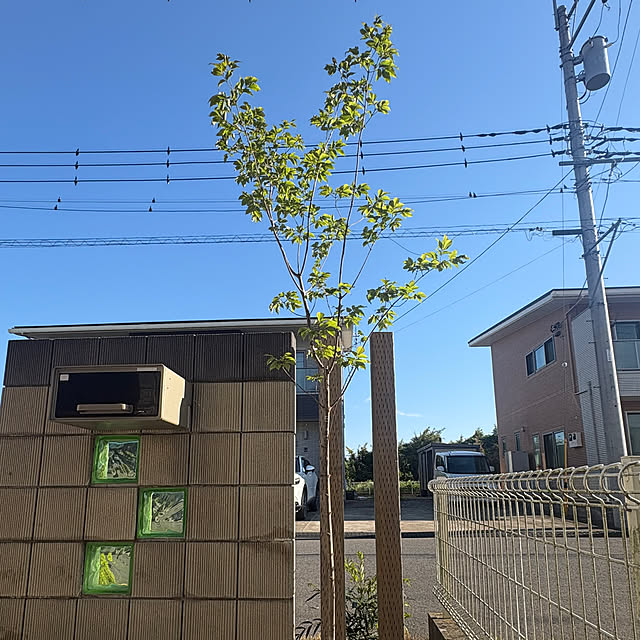 Haruさんの実例写真