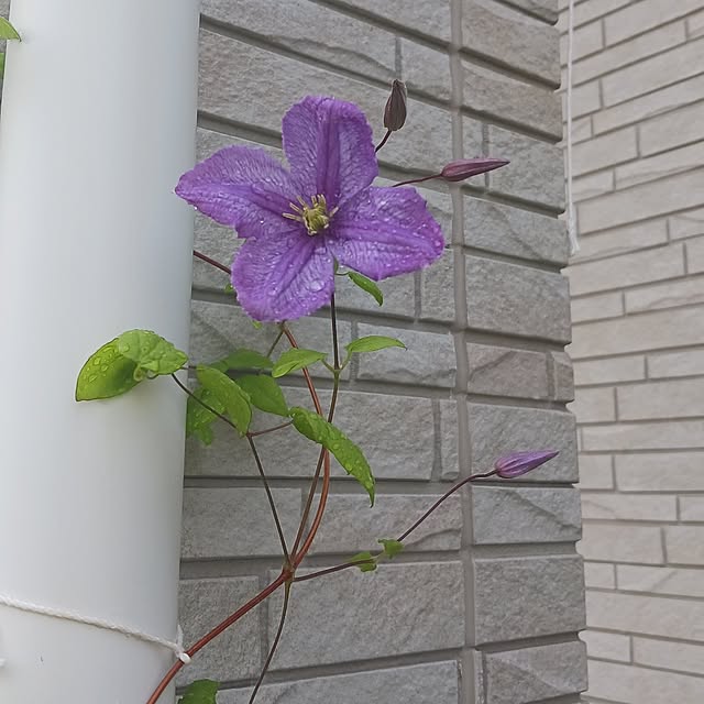 aiさんの部屋