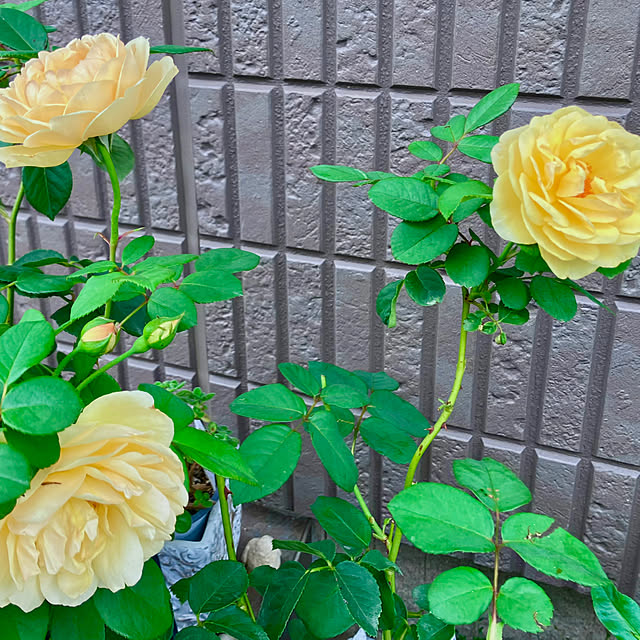 tinkunさんの部屋