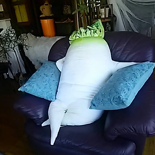 spinetailさんの実例写真