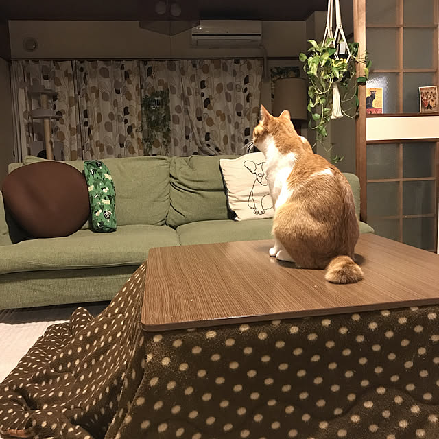 tamaさんの実例写真