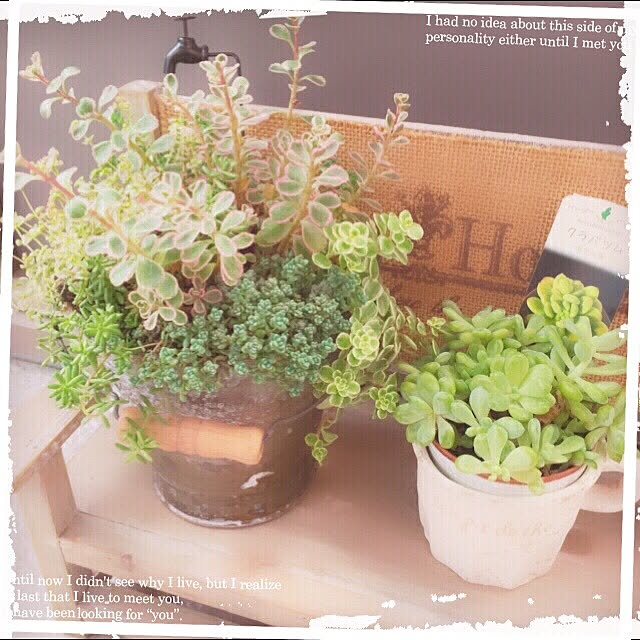 aiさんの実例写真