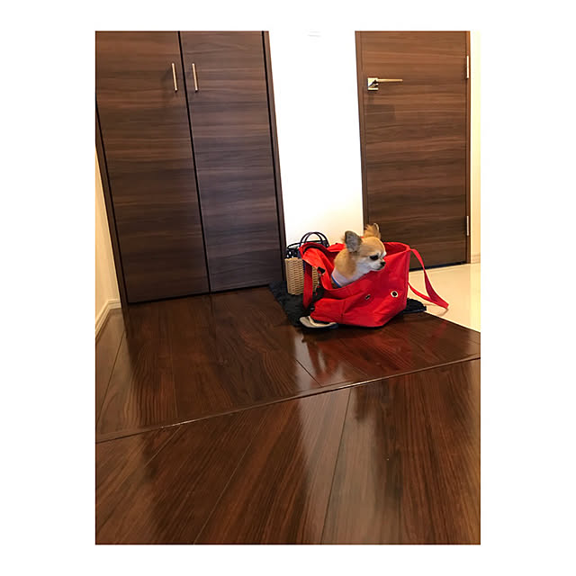 ai_qoo_hideさんの実例写真