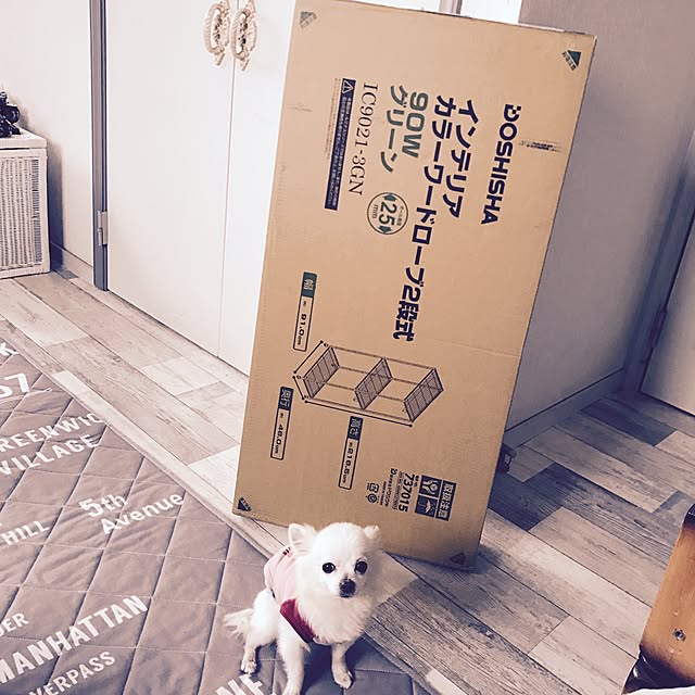 Ayaさんの実例写真