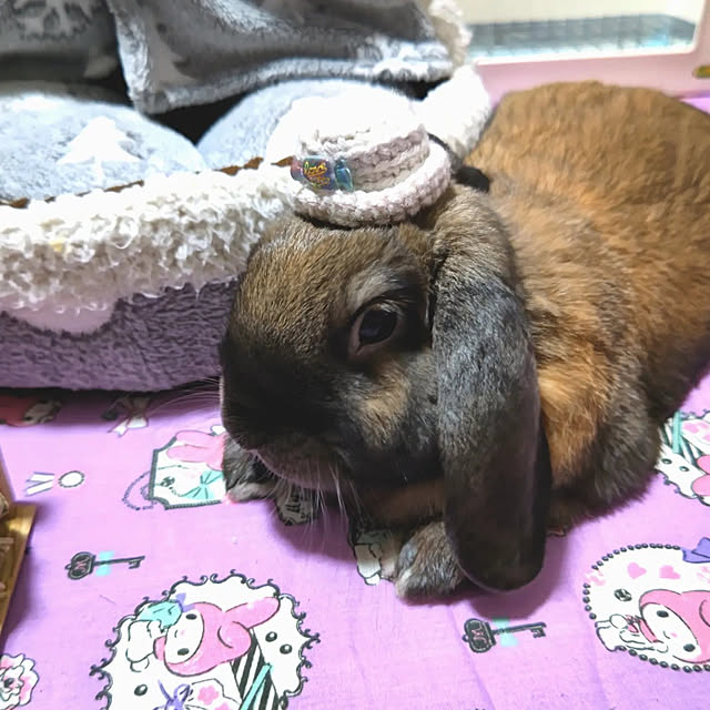 mariaさんの実例写真