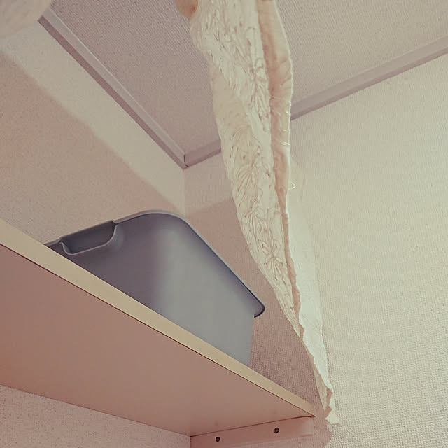 akiaさんの実例写真