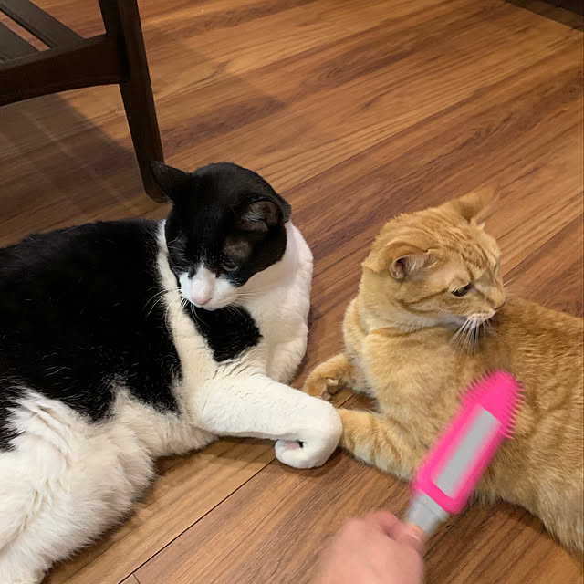 mikeume7さんの実例写真