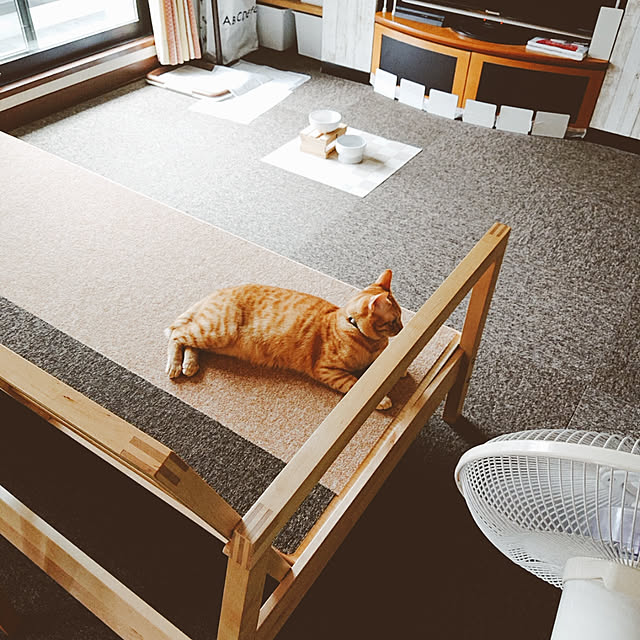 kikiさんの実例写真
