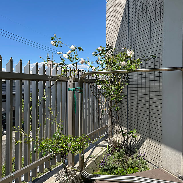 hiromimiさんの部屋