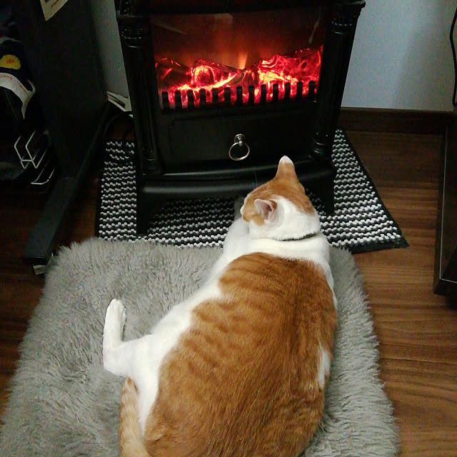 porinさんの実例写真