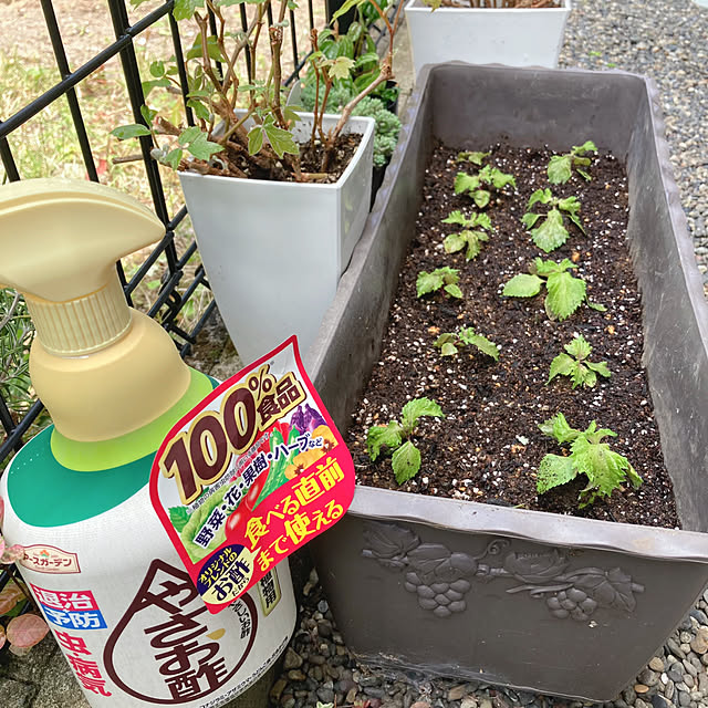 soraさんの部屋