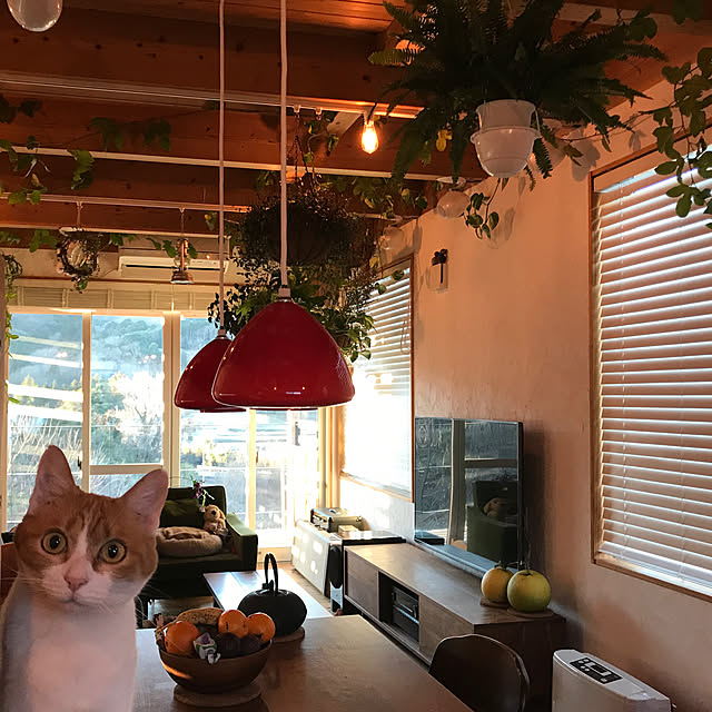 sakurasakuさんの実例写真