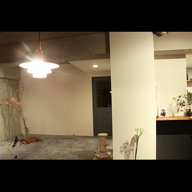 DailyRoomclip