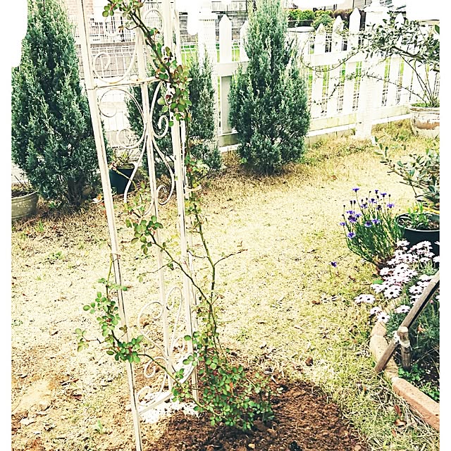 kiyosukeさんの実例写真
