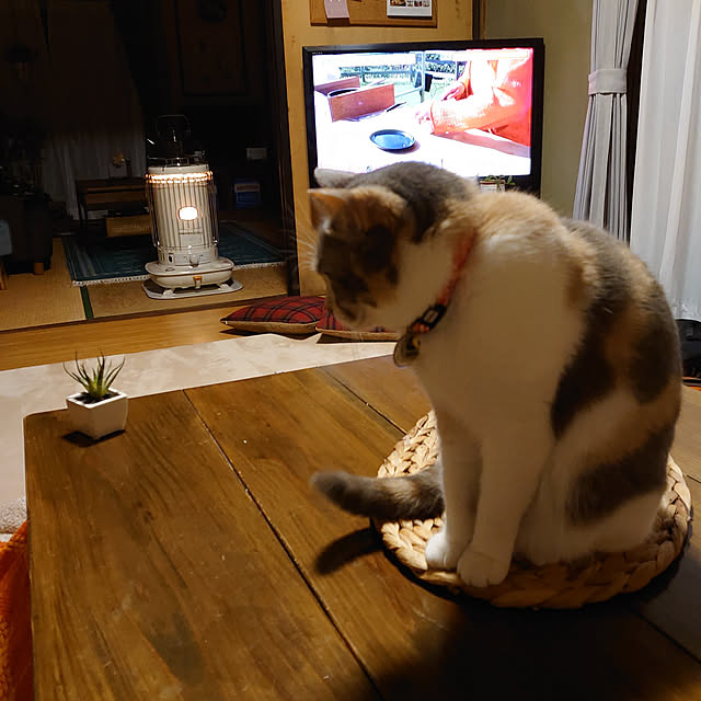 fukuさんの実例写真