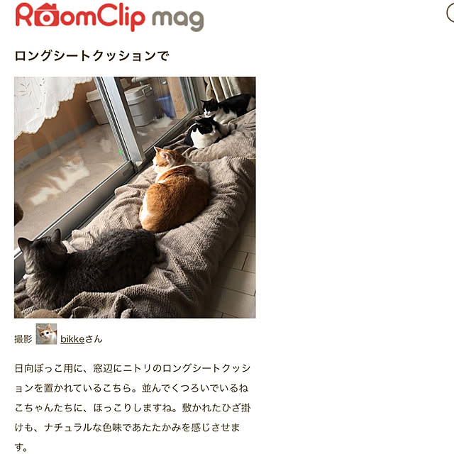 bikkeさんの実例写真