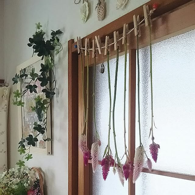 naopyiさんの実例写真