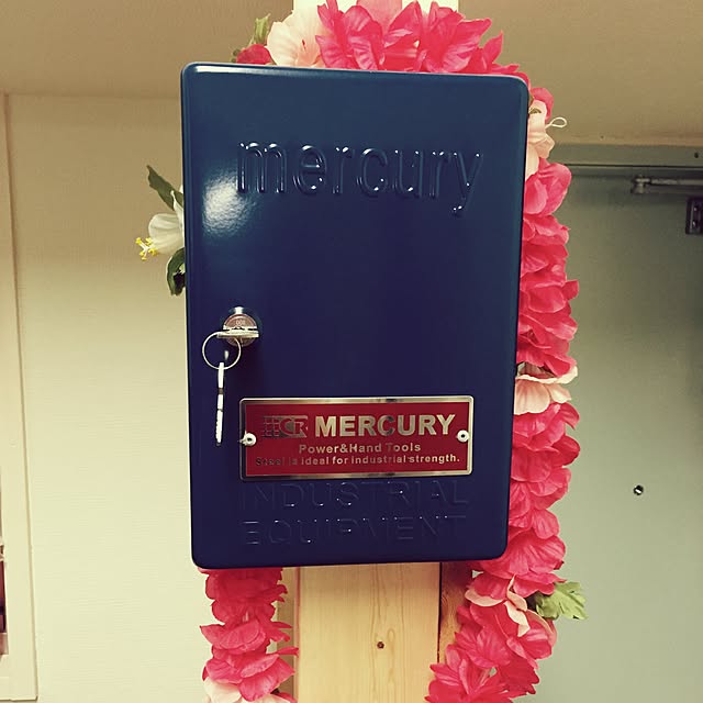 Marisさんの実例写真