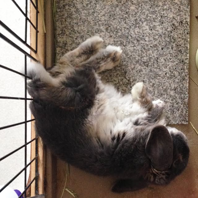 kimikoさんの実例写真