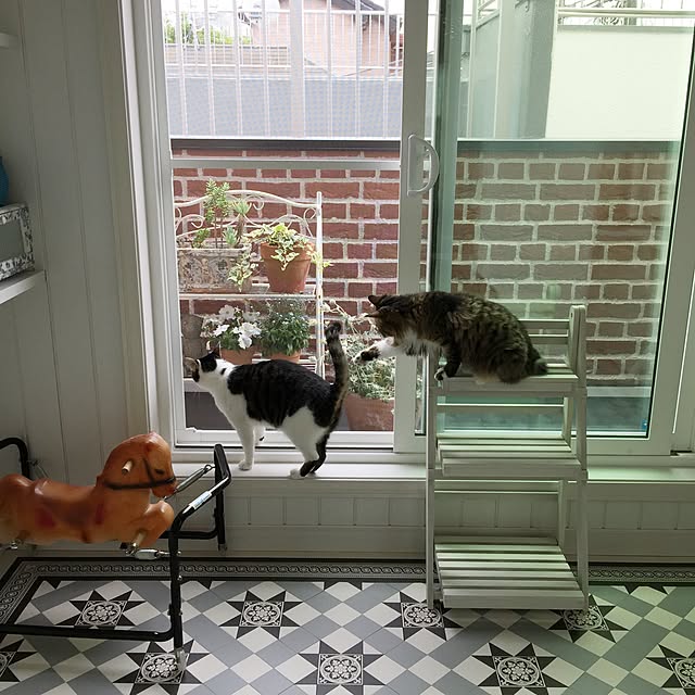 yuchiさんの実例写真