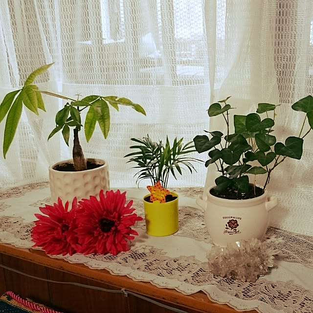 Izumiさんの実例写真