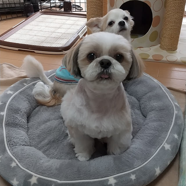ronさんの実例写真