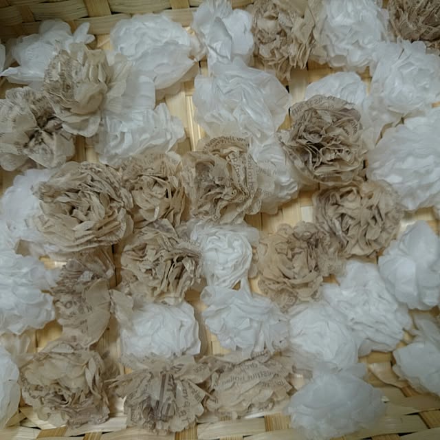 akanegumoさんの実例写真