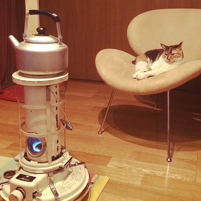 k.0316さんの実例写真
