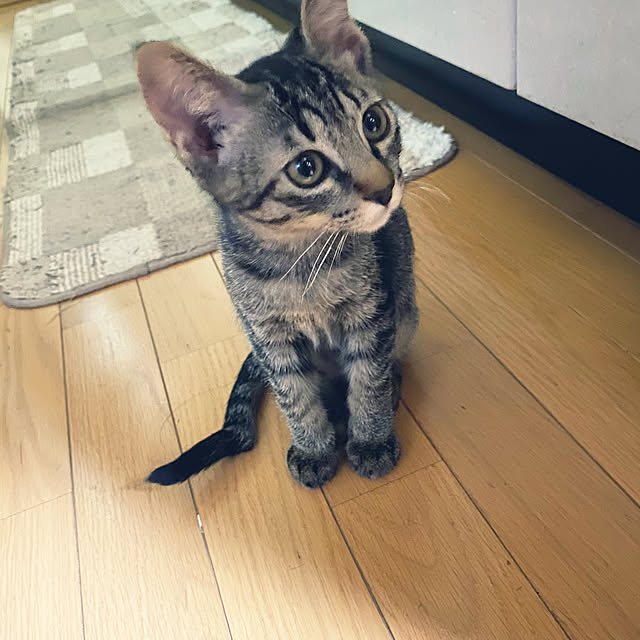 uni.comuさんの実例写真