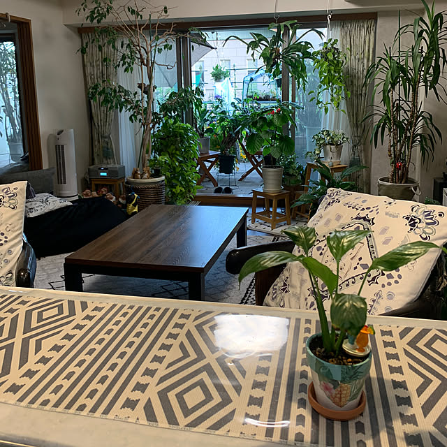Aqettyさんの部屋