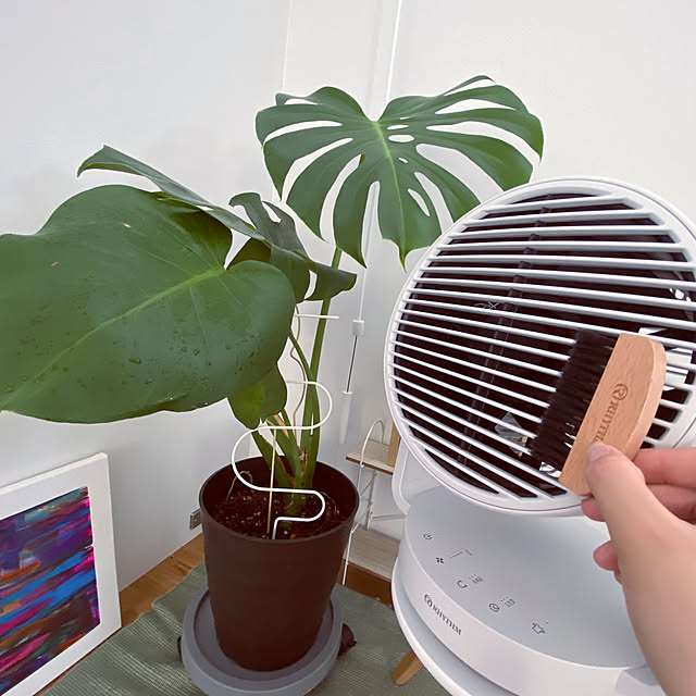 k______n48さんの実例写真