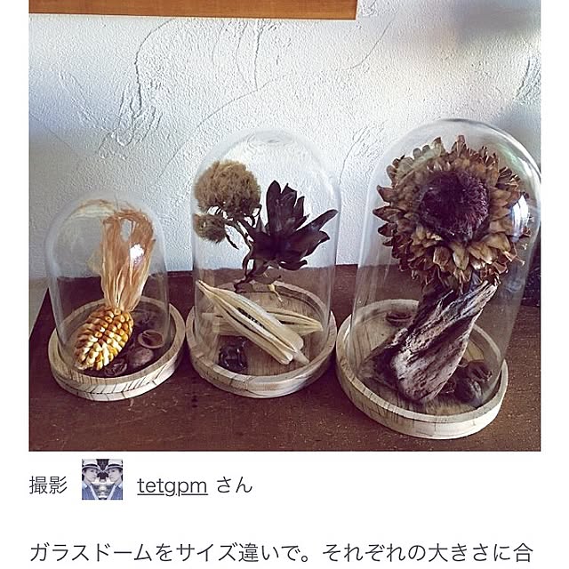 tetgpmさんの実例写真