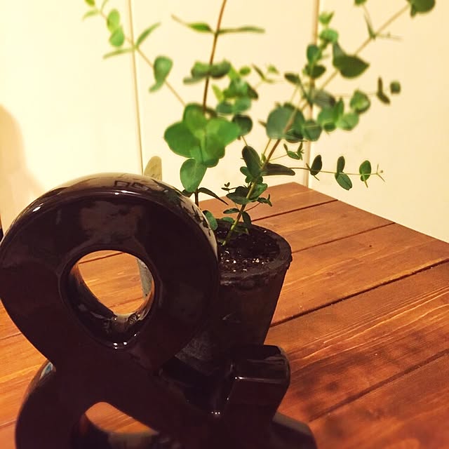 ebiomanさんの実例写真