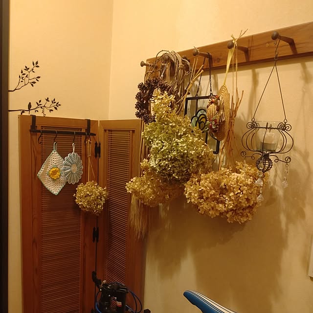 Hujikoさんの部屋