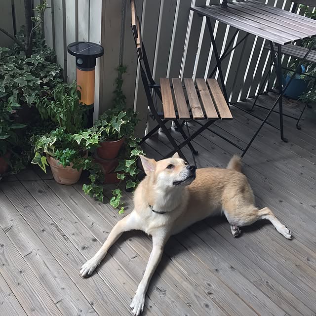 leonaさんの実例写真