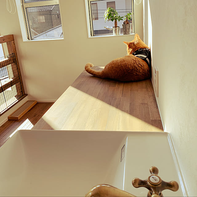 nakaiさんの実例写真