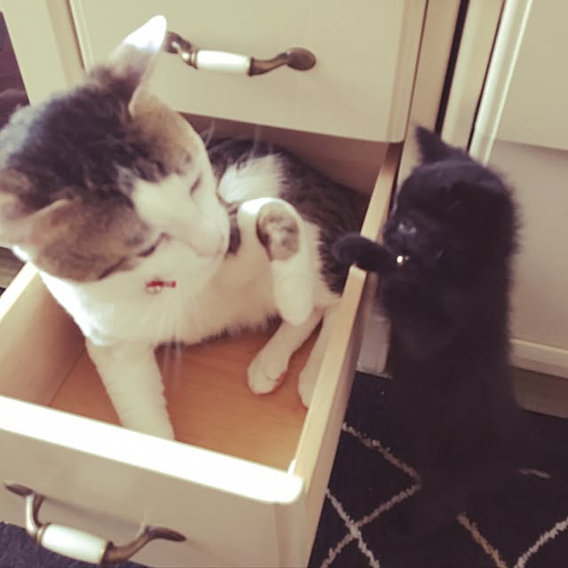 tomokito77さんの実例写真