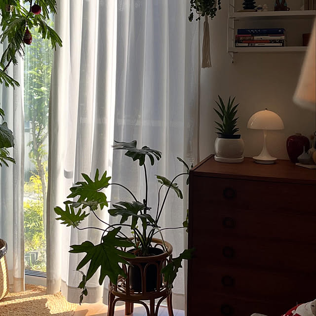 siosai10さんの部屋