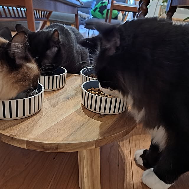kankanmom_horn_5catsさんの実例写真