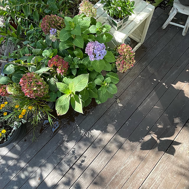 nobikoさんの実例写真