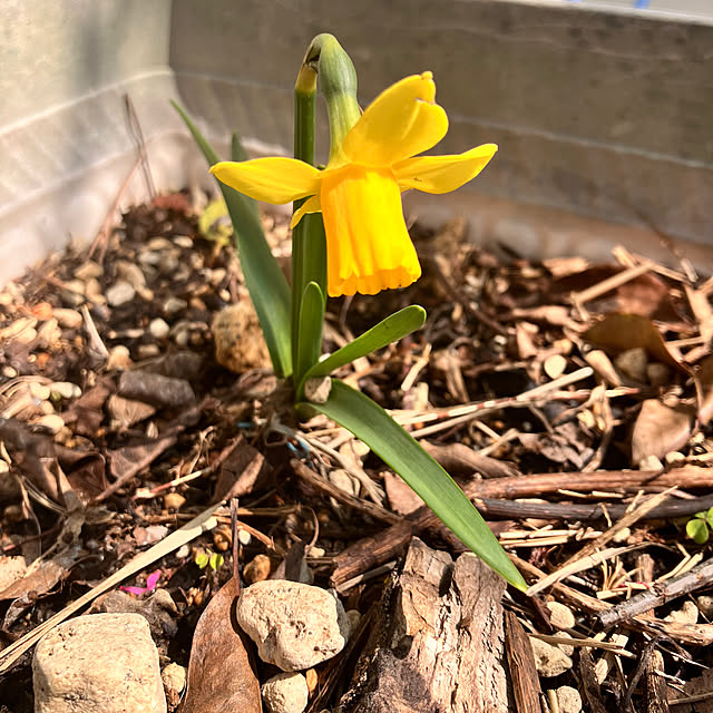 tomorinさんの部屋