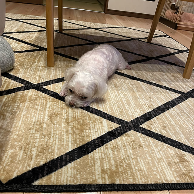 Shihoさんの実例写真