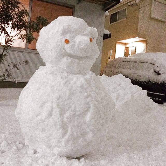 mossさんの実例写真