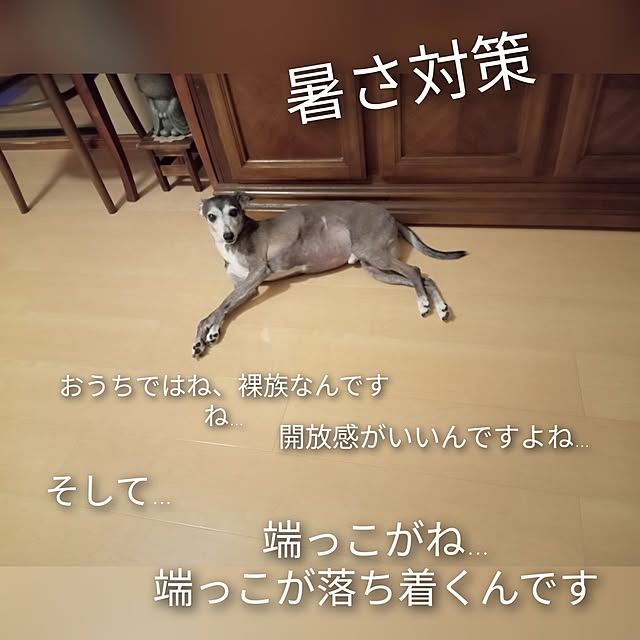 moruさんの部屋