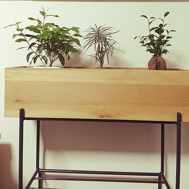 h31503150さんの実例写真